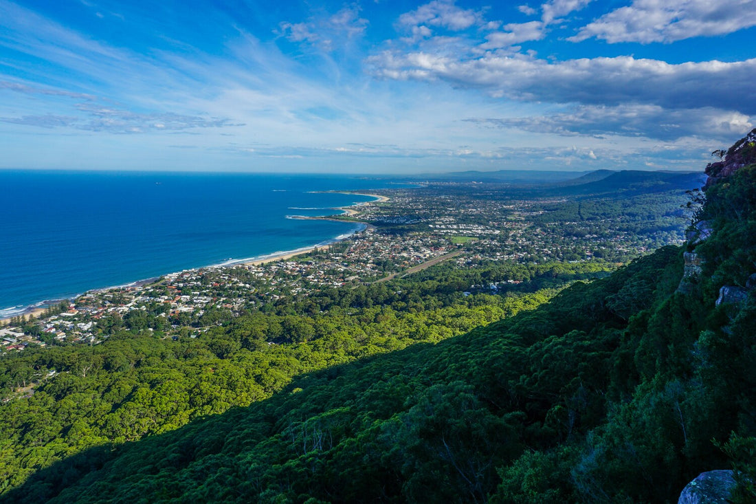 Wollongong Home Delivery Healthy Meals