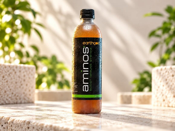 Aminos Kombucha